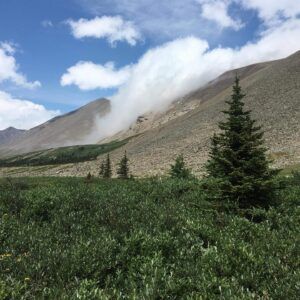 Three Peak Outfitters Flatbush Alberta Scenery mountains trees horses