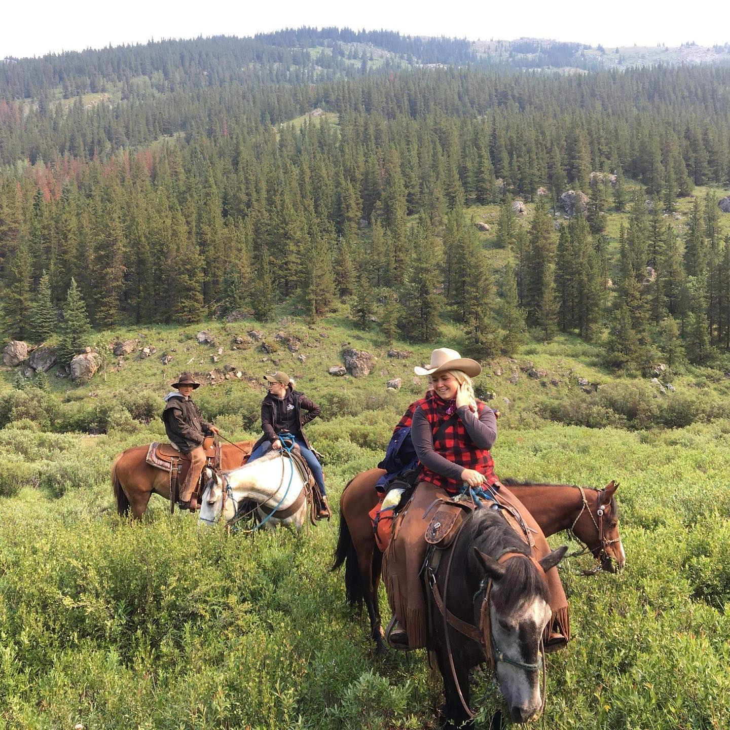 Three Peak Outfitters Flatbush Alberta Scenery mountains trees horses