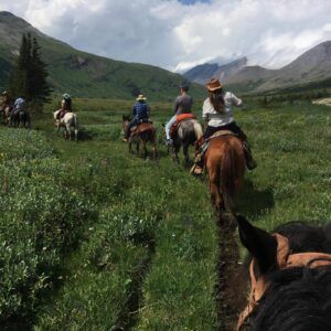 Three Peak Outfitters Flatbush Alberta Scenery mountains trees horses