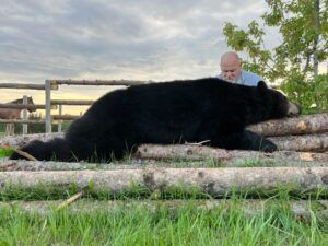 Three Peak Outfitters black bear hunt alberta flatbush