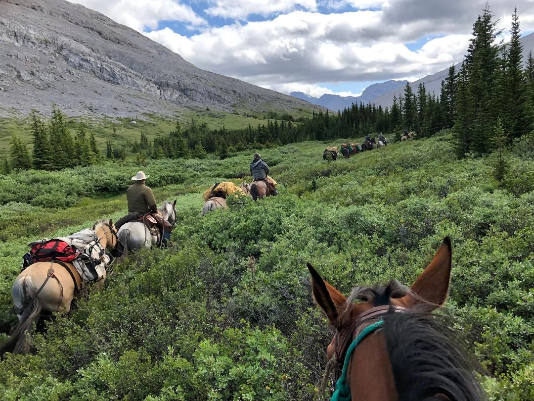 Three Peak Outfitters flatbush alberta riding horses with packs in valley beside mountain