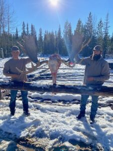 Moose Hunt in Alberta Canada