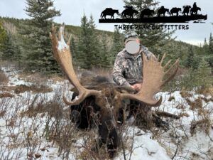 Three Peak Outfitters moose hunt early winter alberta