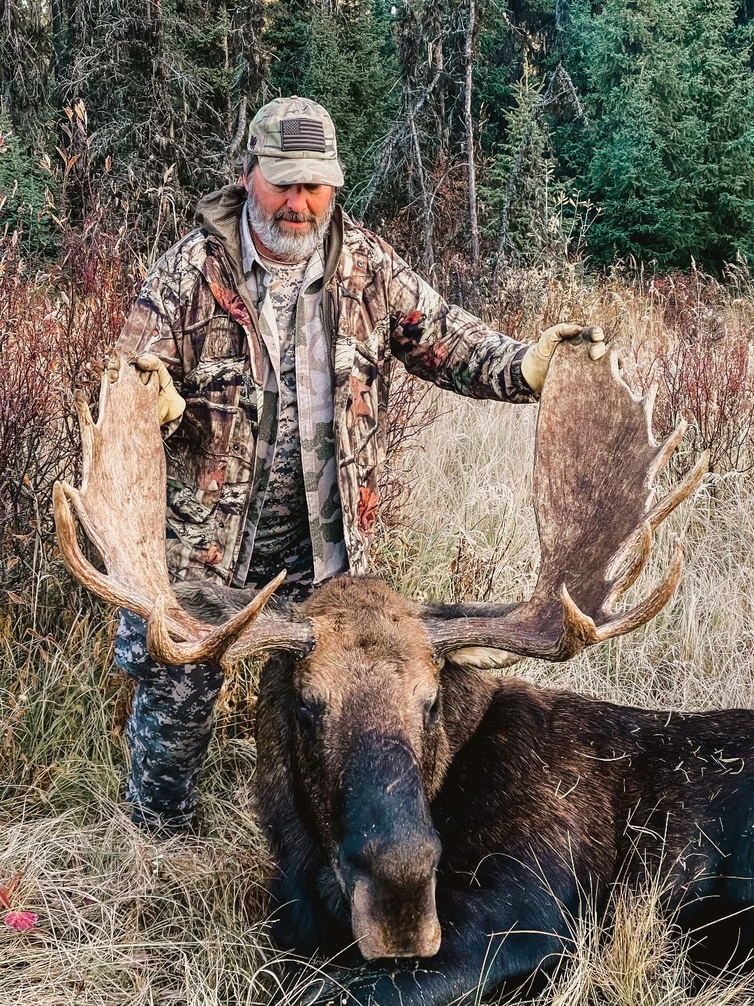 Three Peak Outfitters moose hunt late fall grass and trees alberta