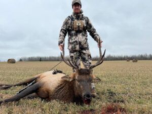 Three Peak Outfitters successful elk hunt in field