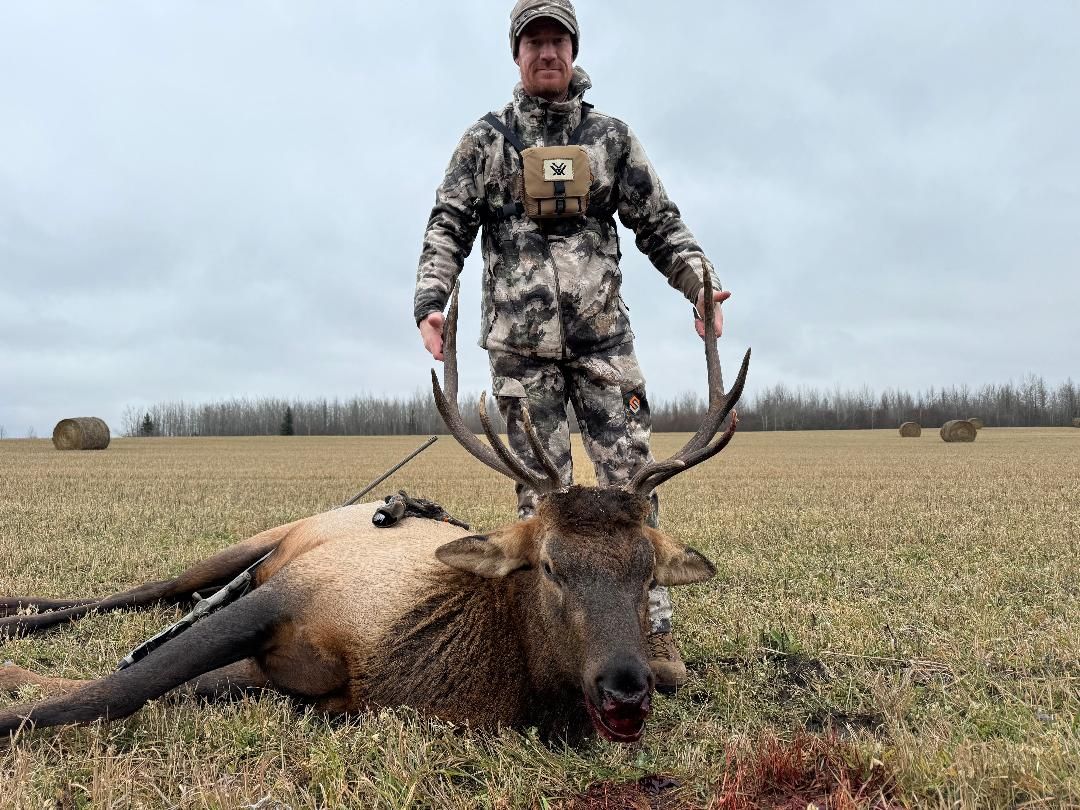 Three Peak Outfitters successful elk hunt in field