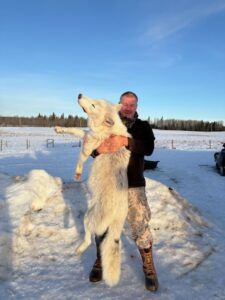 Three Peak Outfitters wolf hunt northern alberta man holding wolf