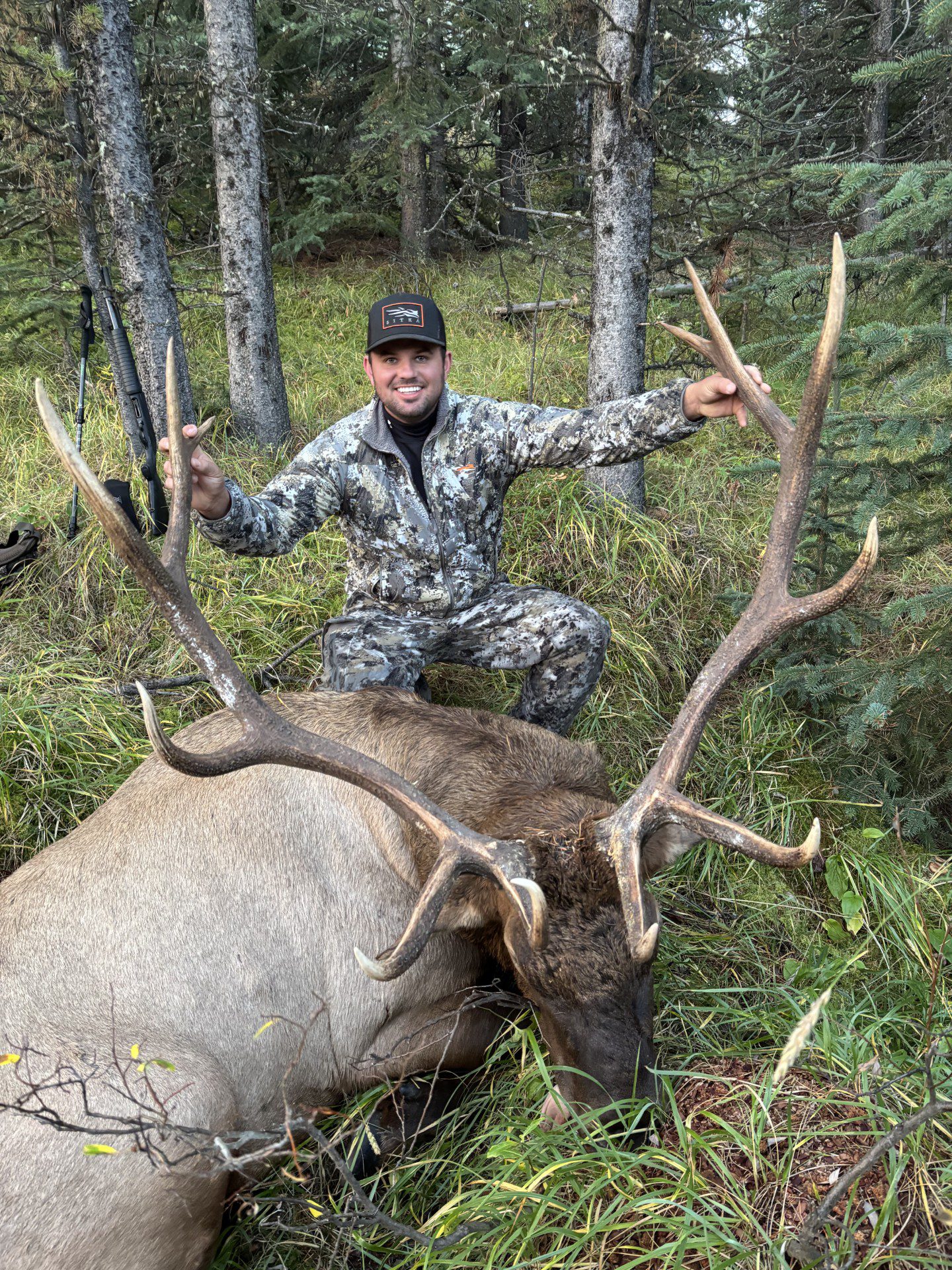 elk hunt 2025 three peak outfitters alberta