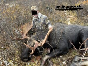 moose hunt 2025 three peak outfitters alberta (2)