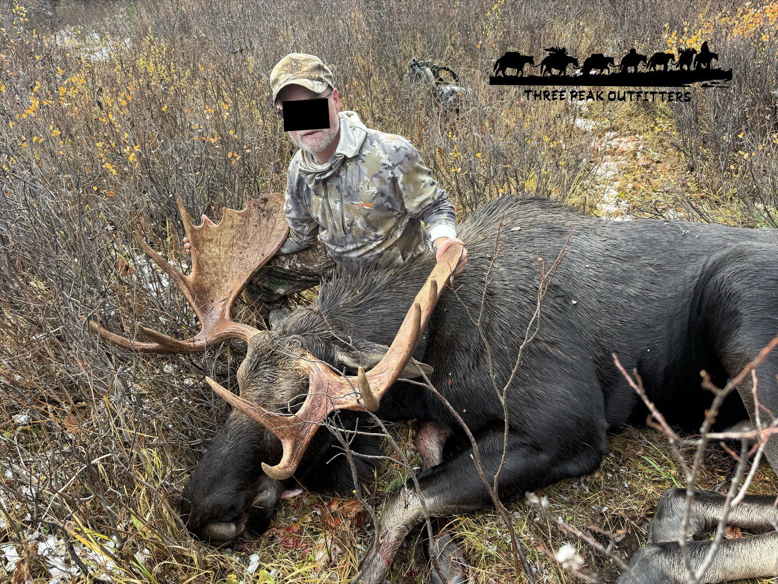 moose hunt 2025 three peak outfitters alberta (2)