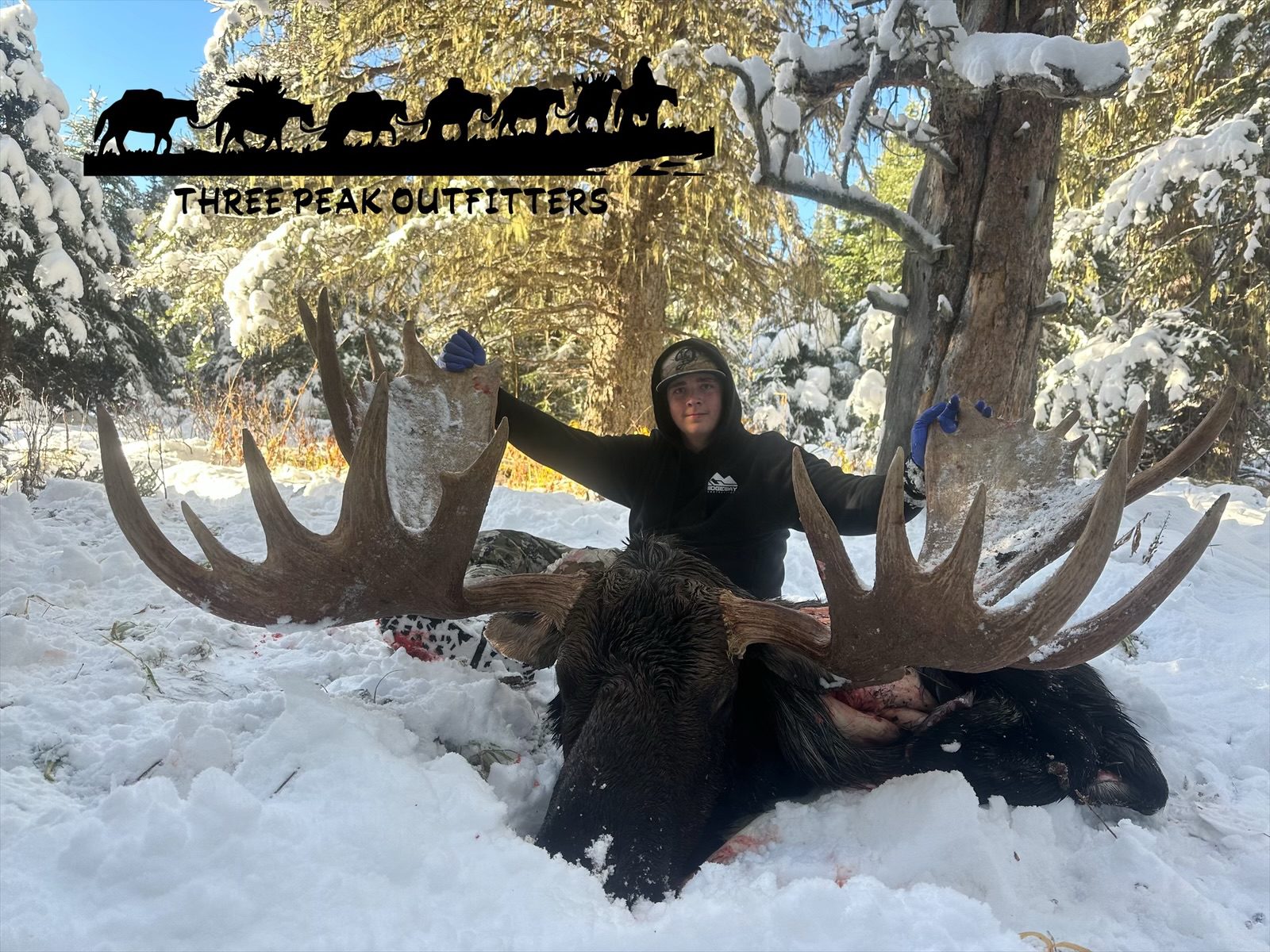 moose hunt 2025 three peak outfitters alberta (2)