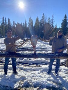 moose hunt 2025 three peak outfitters alberta (2)