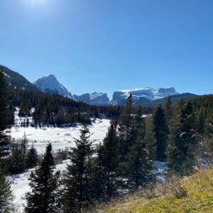 Three Peak Outfitters flatbush alberta spruce trees in winter with mountains in background