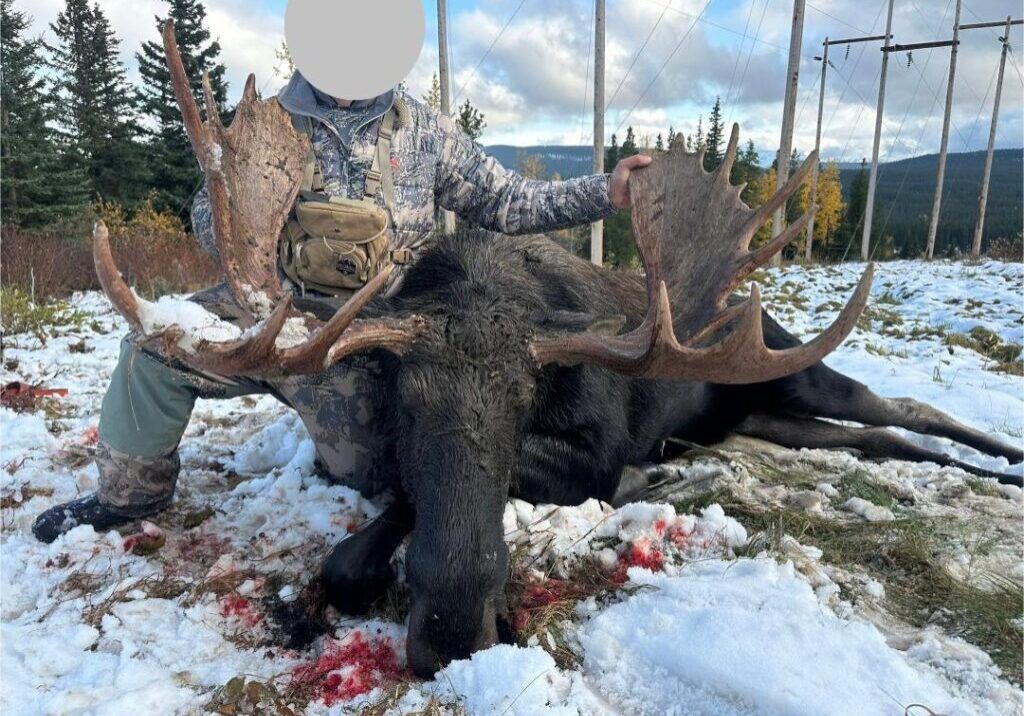 Three Peak Outfitters moose hunt early winter man with camo gear alberta